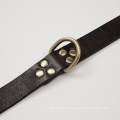leather training collar personalized genuine Leather pet dog